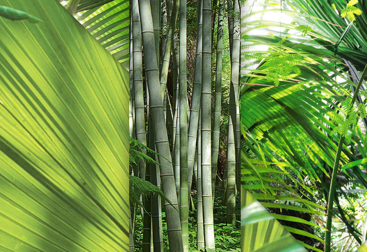 Vert palme