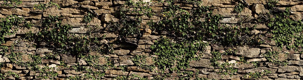 Brise vue mur en pierres
